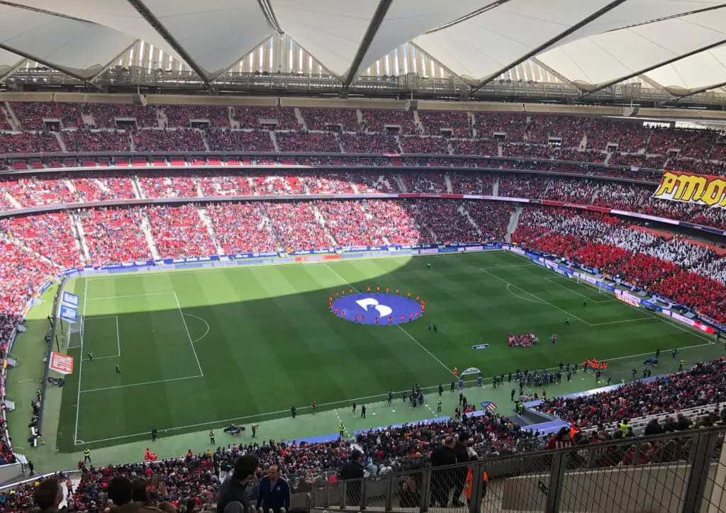 Vol voetbalstadion met supporters op de tribunes en een groot Bluebird-logo op het midden van het veld.