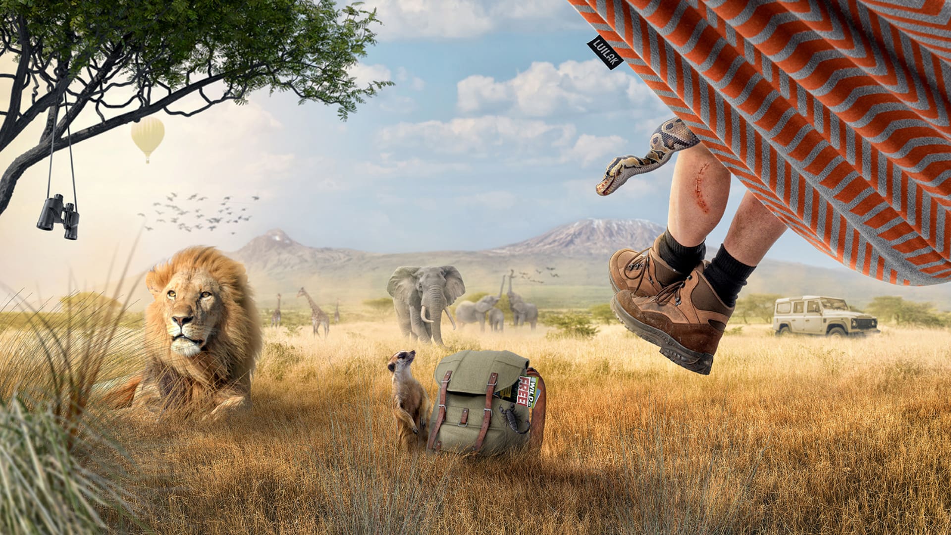 Persoon ligt in een hangmat boven een savanne terwijl een leeuw en olifanten in het landschap staan.