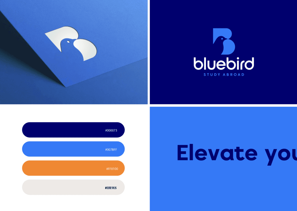Overzicht van de Bluebird-huisstijl met logo, kleurenpalet en typografie in een design.