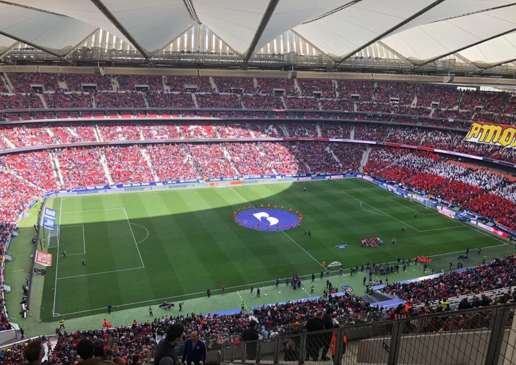 Vol voetbalstadion met supporters op de tribunes en een groot Bluebird-logo op het midden van het veld.